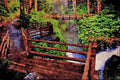 672006 Observation Deck And Footbridge, Washington, U.S.A. A4 Limited Edition Watercolour Print