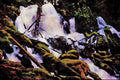 672010 Clearwater Falls, Umpqua National Forest, Oregon, U.S.A. A4 Limited Edition Watercolour Print
