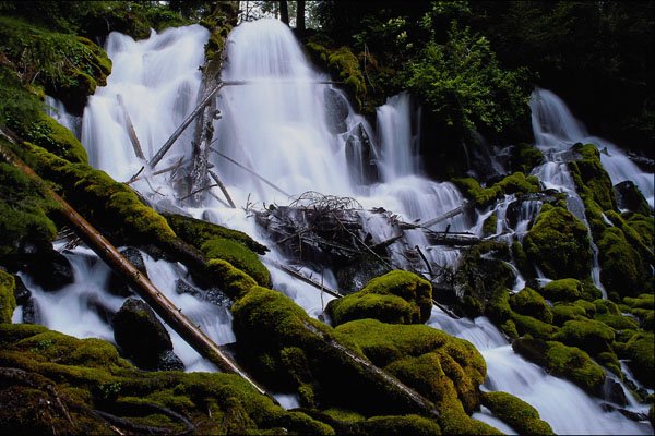 672010 Clearwater Falls, Umpqua National Forest, Oregon, U.S.A. A4 Photo Print