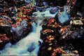 672014 Waterfall In Autumn, Near Capelton, Estrie, Quebec, Canada A4 Limited Edition Watercolour Print