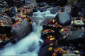 672014 Waterfall In Autumn, Near Capelton, Estrie, Quebec, Canada A4 Photo Print