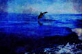 672021 Dusky Dolphins, Side View, Nose Dive A4 Limited Edition Watercolour Print