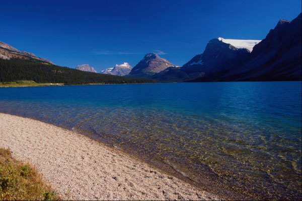 672037 Beside The Banff Jasper Highway, Canada A4 Photo Print