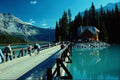 672038 Hiking The Boardwalk, Jasper Park, Alberta, Canada A4 Photo Print