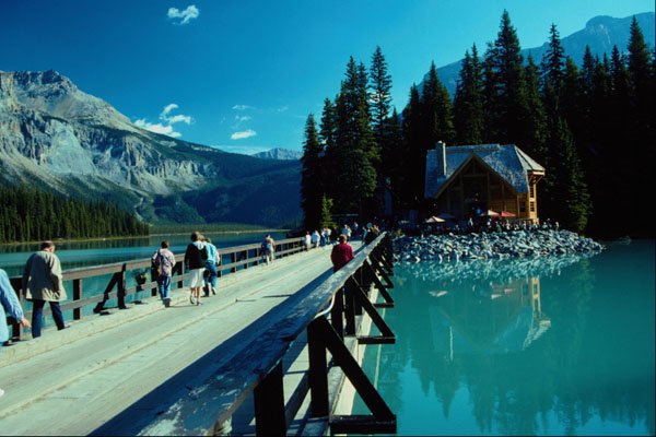 672038 Hiking The Boardwalk, Jasper Park, Alberta, Canada A4 Photo Print
