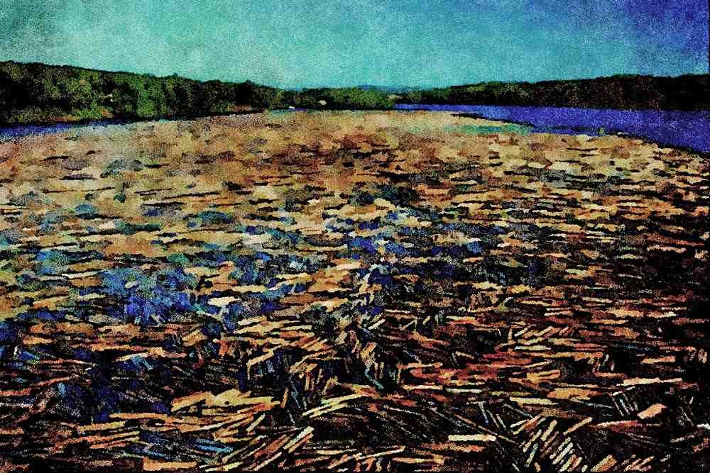 672040 Logging On The Fraser River, British Columbia, Canada A4 Limited Edition Watercolour Print