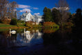 672041 A Couple Of Swans In Pond, Ayer's Cliff, Quebec, Canada A4 Photo Print