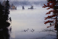 672048 Morning Mist With Geese, Lake Lamabie, Ontario, Canada A4 Photo Print