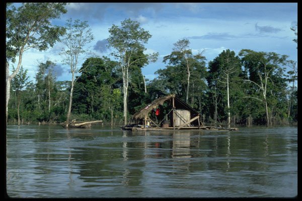672060 House On Upper Amazon River, Peru A4 Photo Print