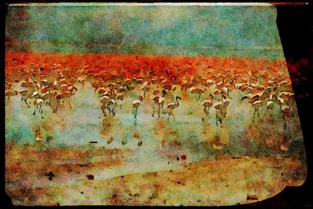 672064 Flamingos, Lake Nakuru, Kenya A4 Limited Edition Watercolour Print