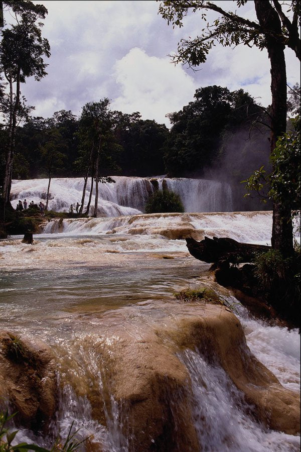 672072 Agua Azul Waterfalls, Chiapas State, Mexico A4 Photo Print