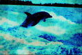 672074 Bottlenose Dolphin (Tursiops Truncatus), Bahama Islands A4 Limited Edition Watercolour Print