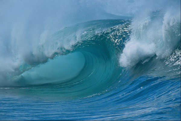 672094 Beautiful Afternoon, Hawaiian Curl A4 Photo Print