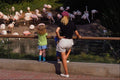 673087 Day At The Zoo A4 Photo Print