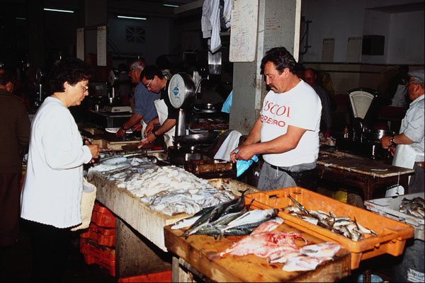 673093 Fish Market, Lagos, Portugal A4 Photo Print