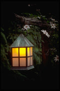 674017 Light Of The Flowers, Monroe, New York A4 Photo Print