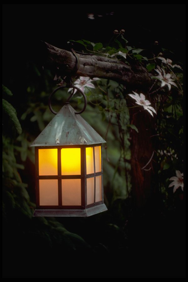 674017 Light Of The Flowers, Monroe, New York A4 Photo Print