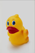 674048 Baby Duck A4 Photo Print
