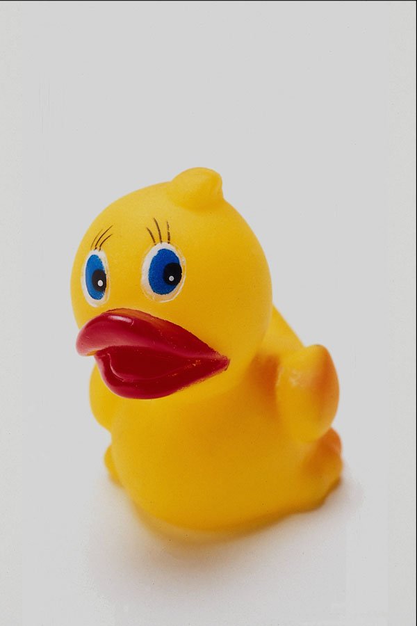 674048 Baby Duck A4 Photo Print
