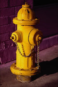 674054 Yellow Fire Hydrant A4 Photo Print