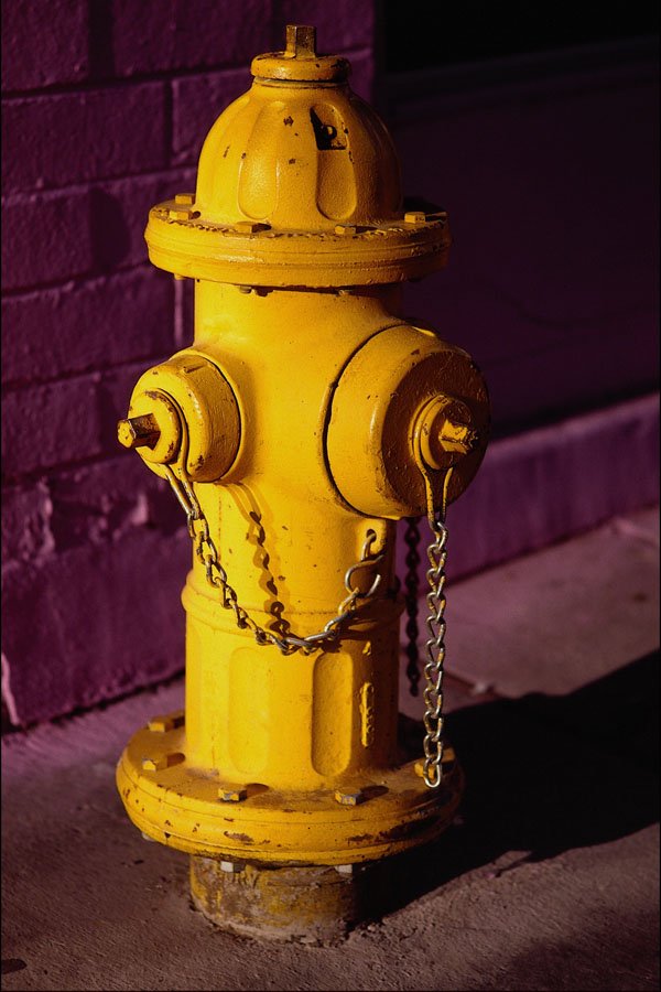 674054 Yellow Fire Hydrant A4 Photo Print