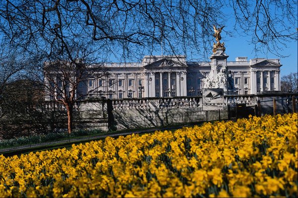 674067 Buckingham Palace, London A4 Photo Print