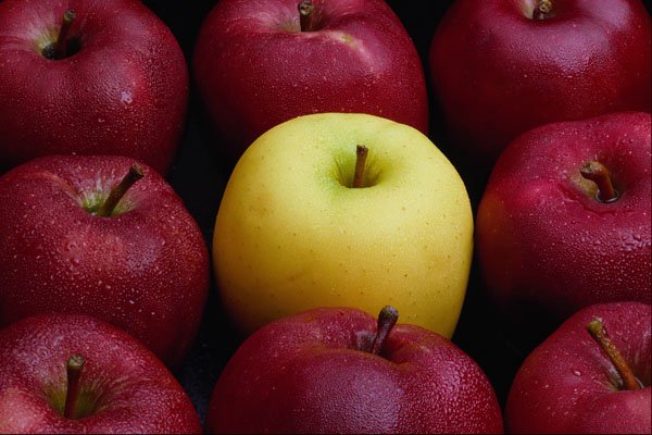 674070 Table Top Of Nine Apples, Yellow And Red A4 Photo Print