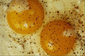 674071 Fried Eggs With Pepper A4 Photo Print