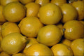 674072 Lemons A4 Photo Print
