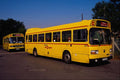 674079 Yellow Buses, London, England A4 Photo Print