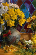 674093 Flower, Still Life By Window A4 Photo Print