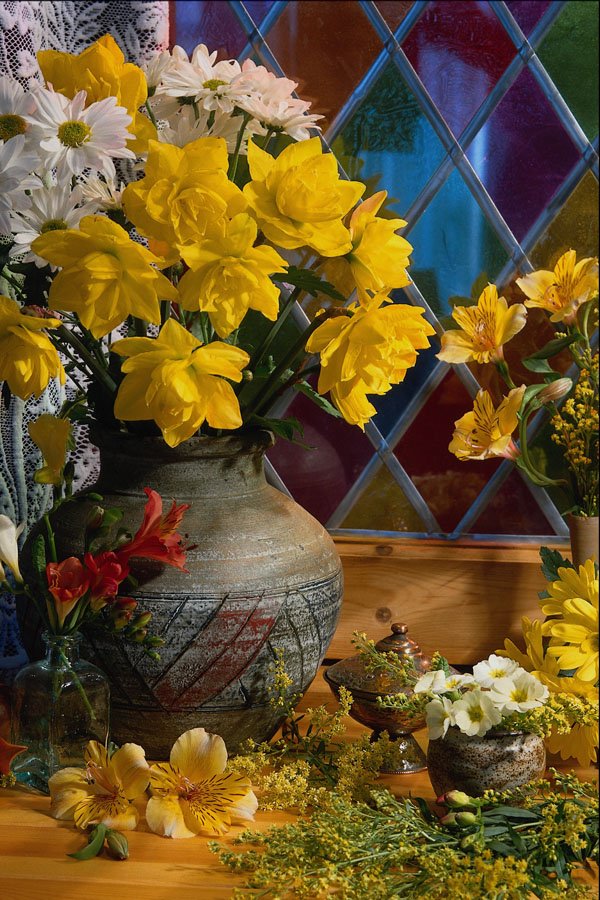 674093 Flower, Still Life By Window A4 Photo Print