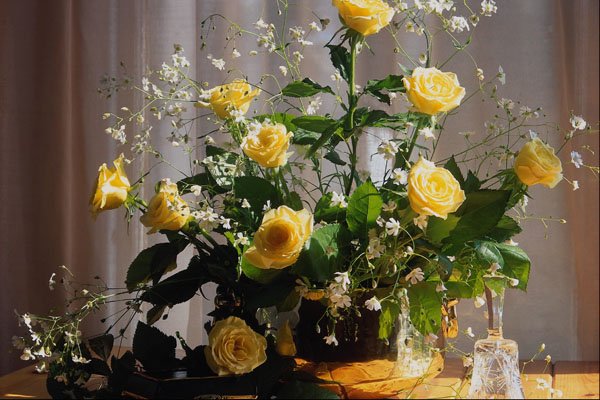674094 Yellow Roses A4 Photo Print