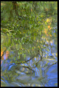 675009 Mostly Green Reflections A4 Photo Print