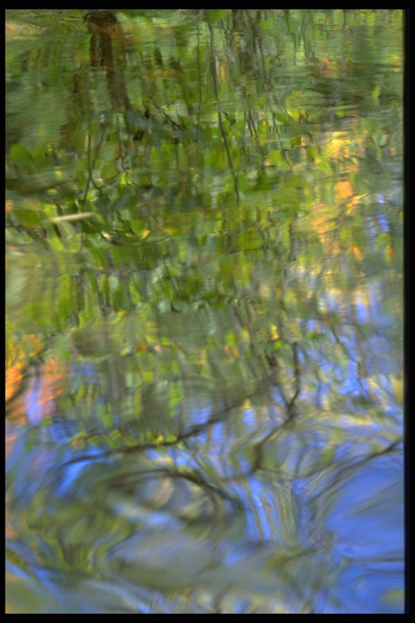 675009 Mostly Green Reflections A4 Photo Print