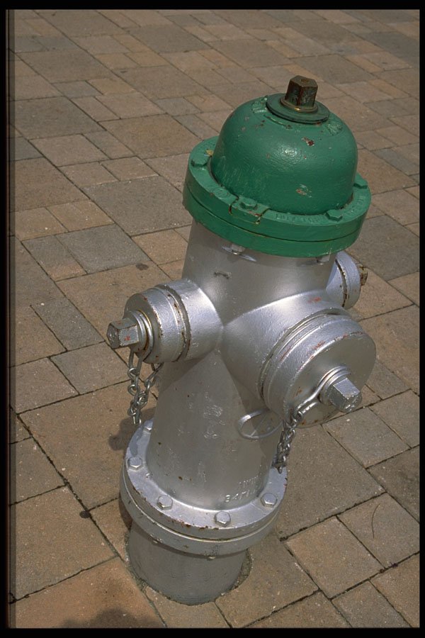675012 Americana (hydrant), Florida, U.S.A. A4 Photo Print
