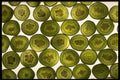 675020 Kiwi A4 Photo Print