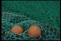 675031 Fishing Nets A4 Photo Print