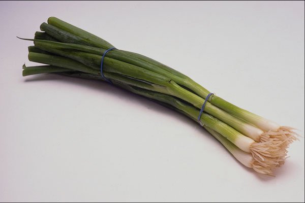 675035 Spring Onions A4 Photo Print