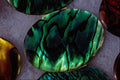 675039 Green Cabochon A4 Photo Print