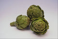 675051 Artichokes A4 Photo Print