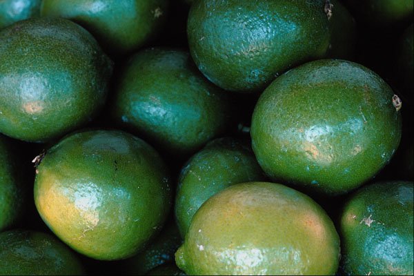 675056 Limes A4 Photo Print
