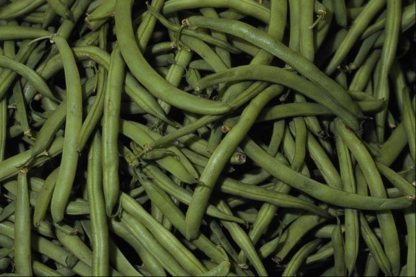 675059 String Beans A4 Photo Print