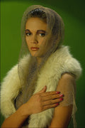 675061 Lorraine A4 Photo Print