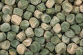 675070 Pea Seeds A4 Photo Print
