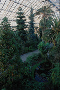 675084 Interior View, Temerance House A4 Photo Print