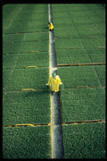 675087 Tree Growers A4 Photo Print