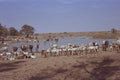 676041 Cattle Drive, Republic Of Mali A4 Photo Print