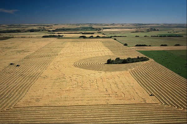 676054 Swathing Patterns, Mayton, Alberta A4 Photo Print
