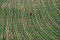 676057 Cornfield A4 Photo Print